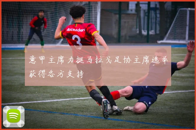 意甲主席力挺马拉戈足协主席选举获得各方支持