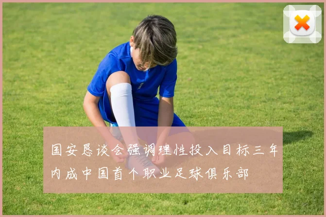 国安恳谈会强调理性投入目标三年内成中国首个职业足球俱乐部